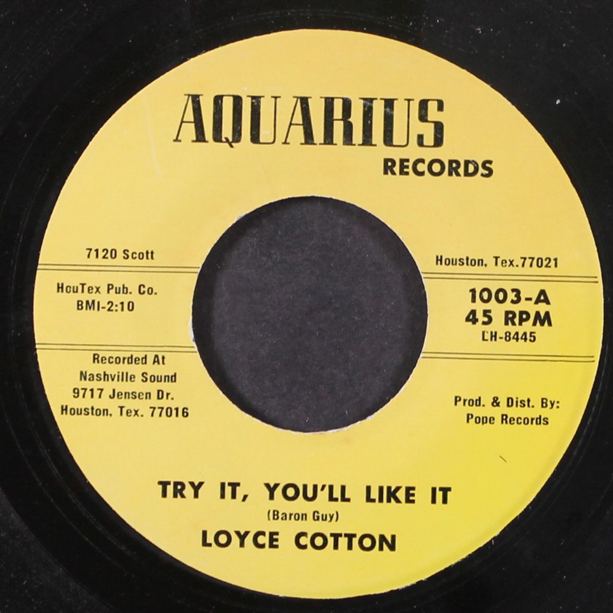 try it, you'll like it / everybody wants to be the president by LOYCE COTTON
