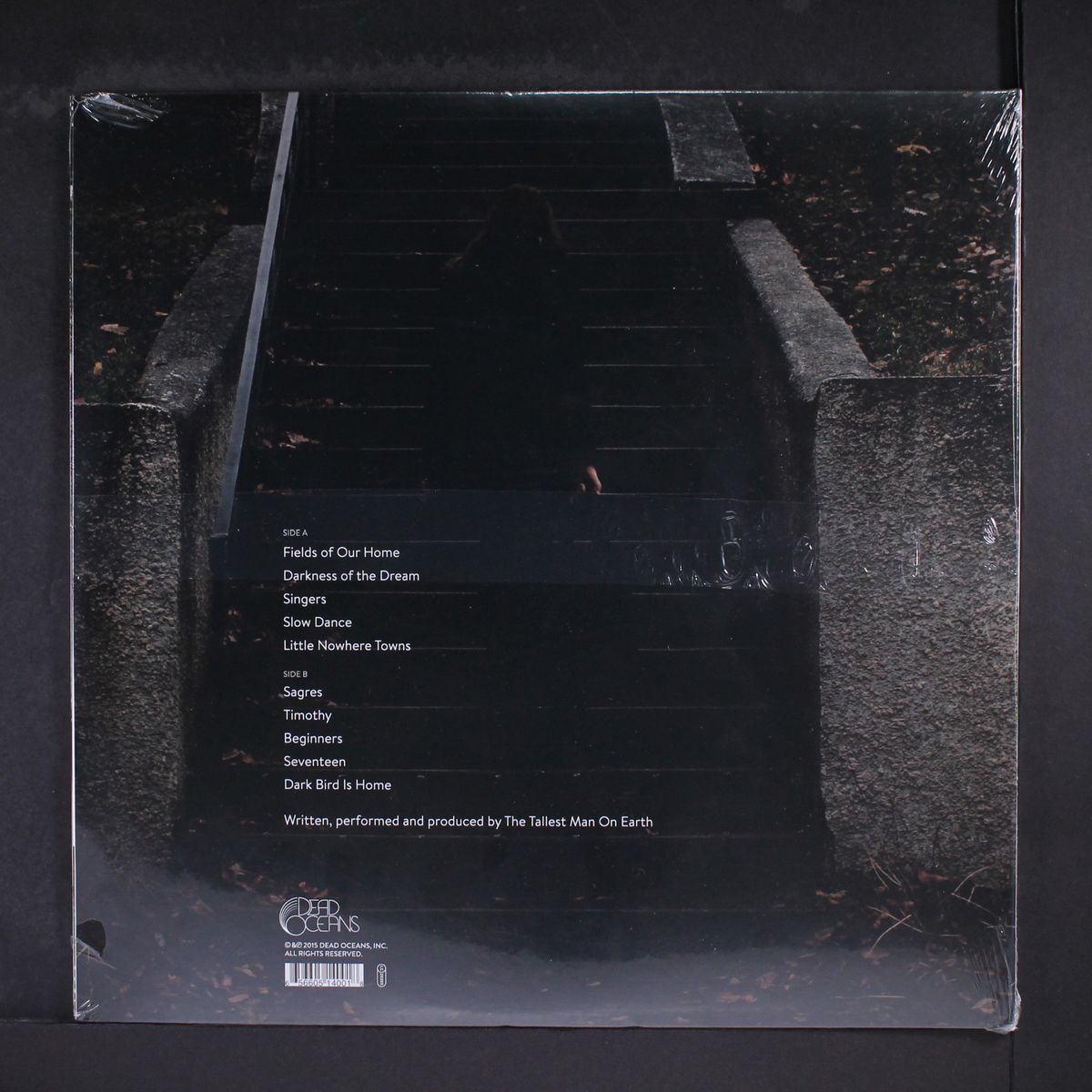 dark bird is home by TALLEST MAN ON EARTH