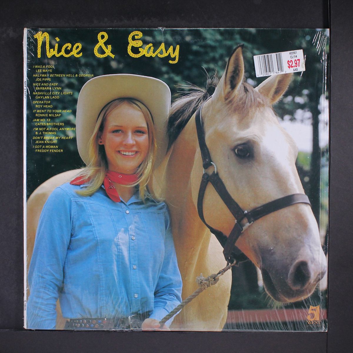 nice & easy by VARIOUS