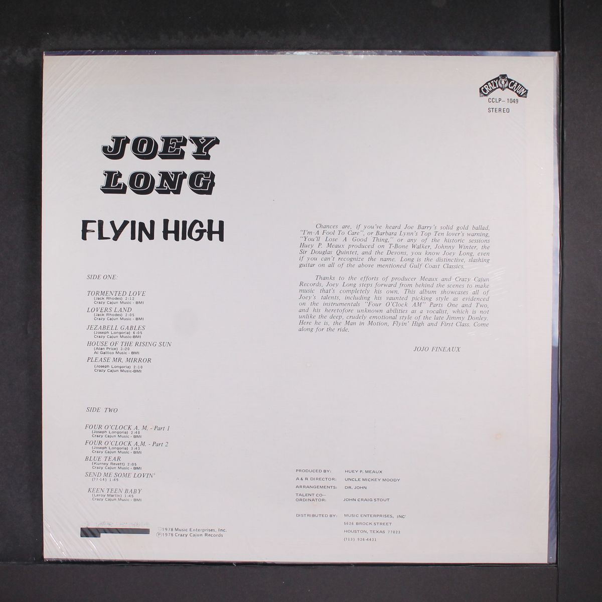 flyin high by JOEY LONG