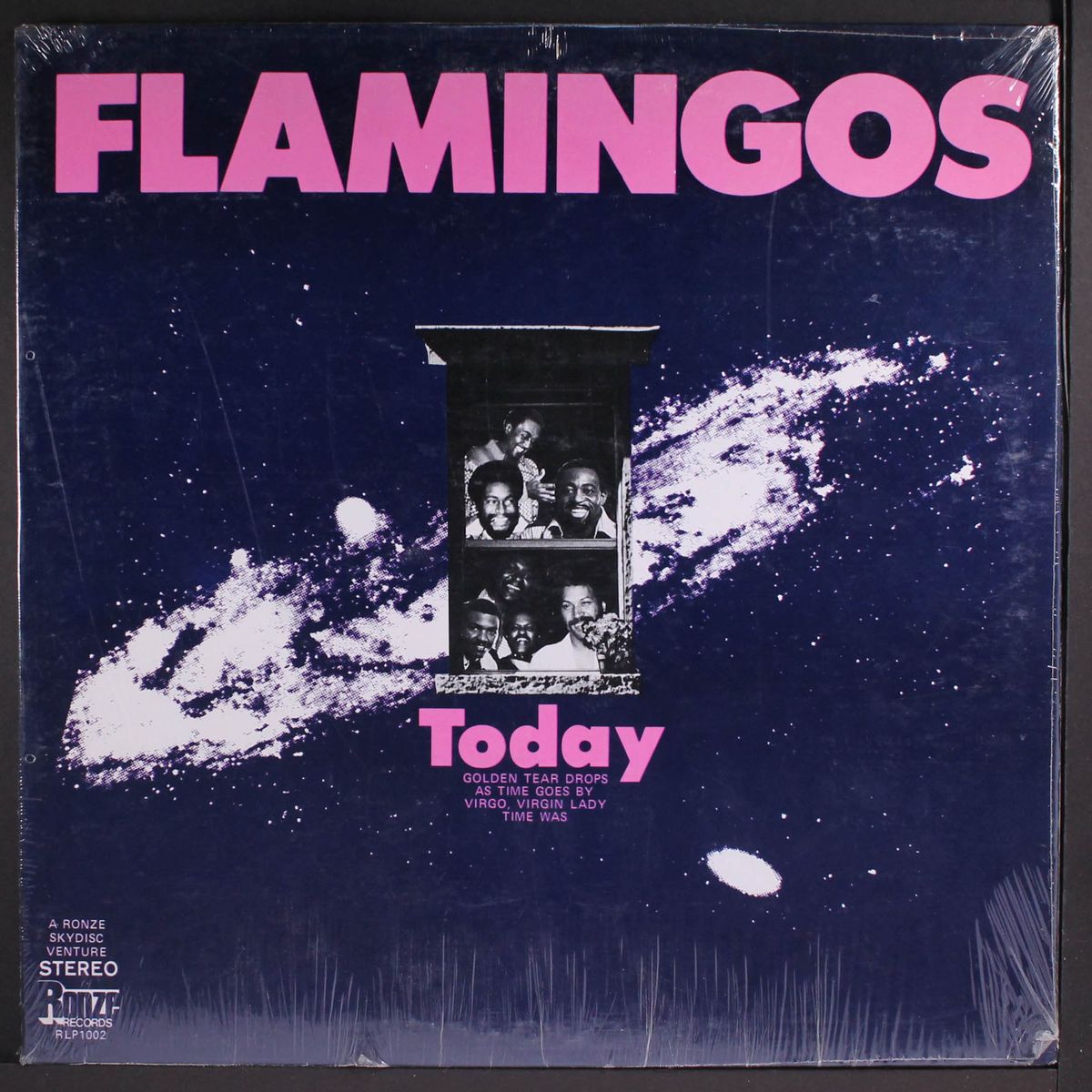 today by FLAMINGOS