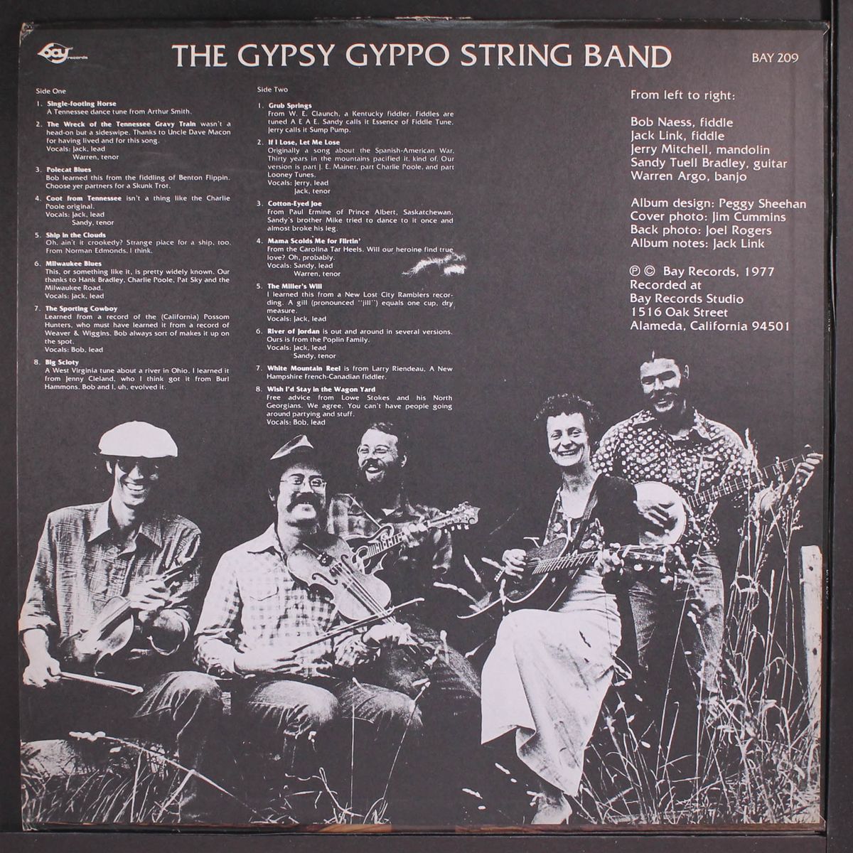 the gypsy gyppo string band by GYPSY GYPPO STRING BAND