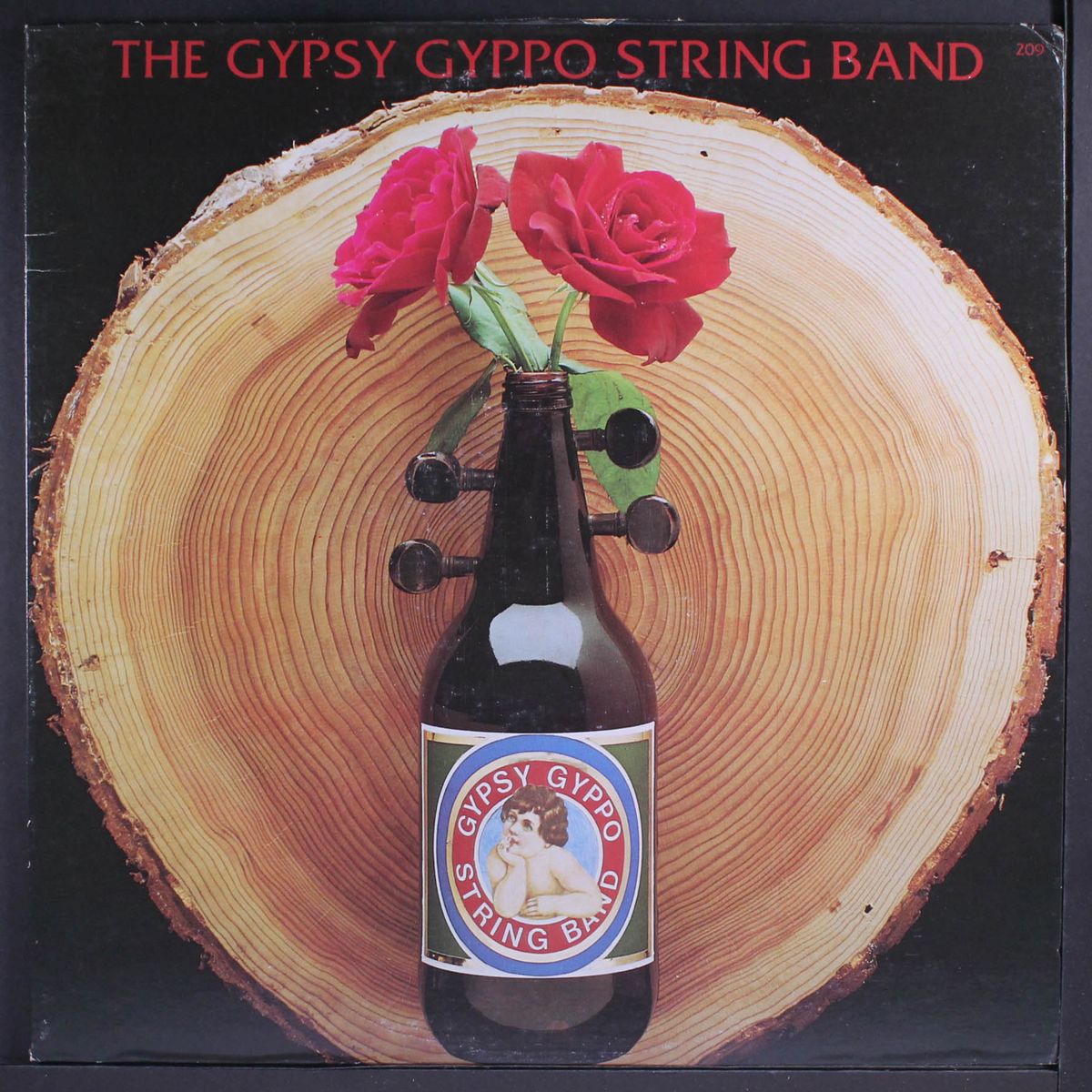 the gypsy gyppo string band by GYPSY GYPPO STRING BAND