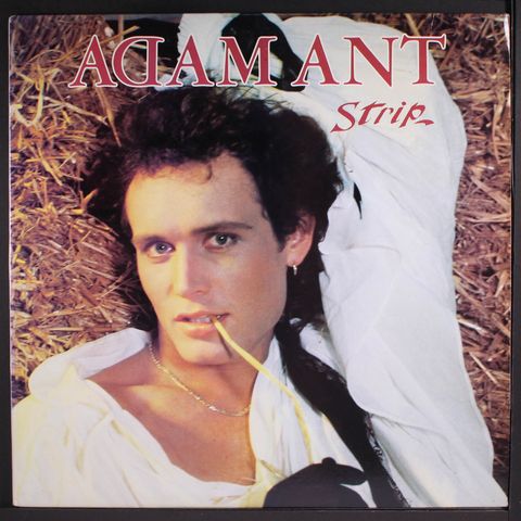 ADAM ANT