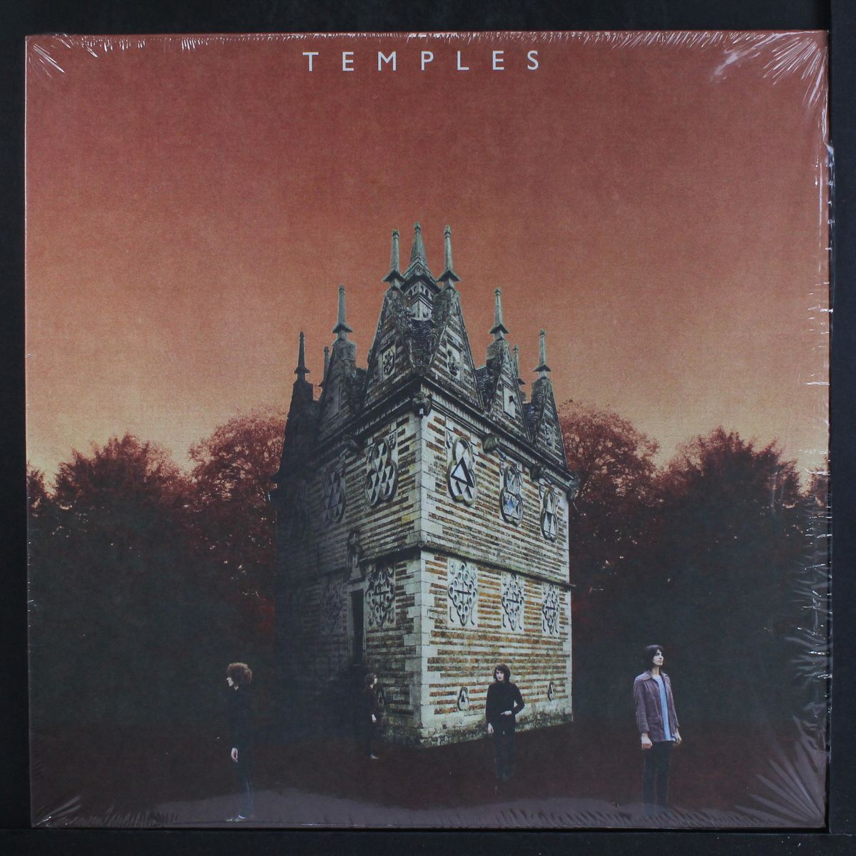 mesmerise live by TEMPLES