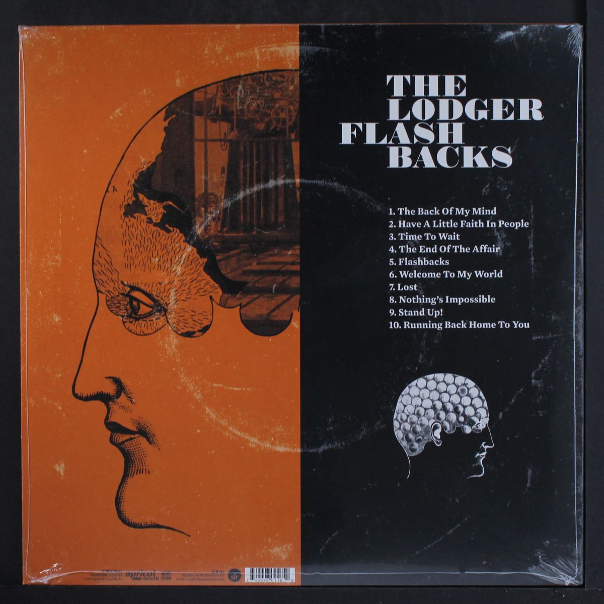 flashbacks by LODGER
