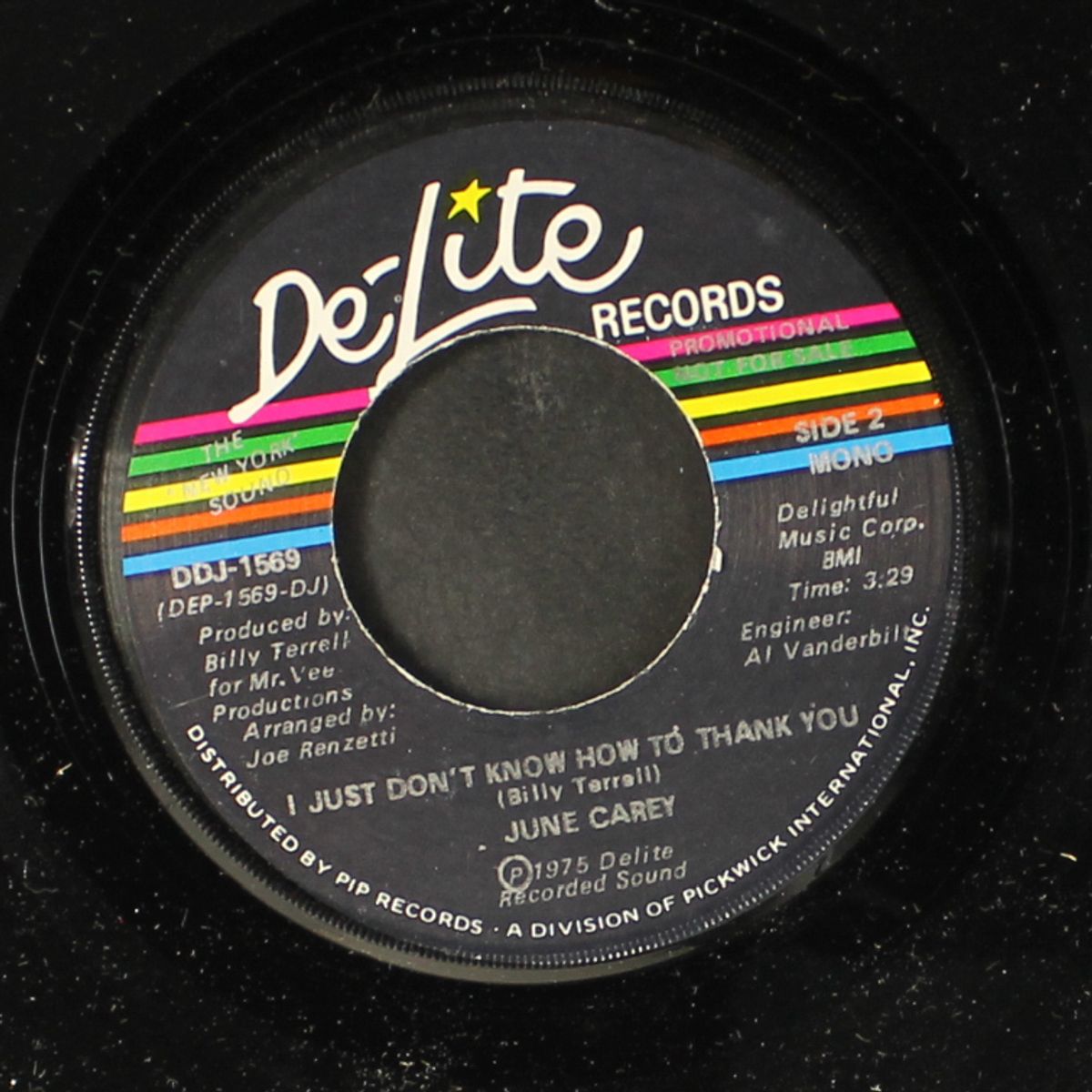 i just don't know how to thank you / mono by JUNE CAREY