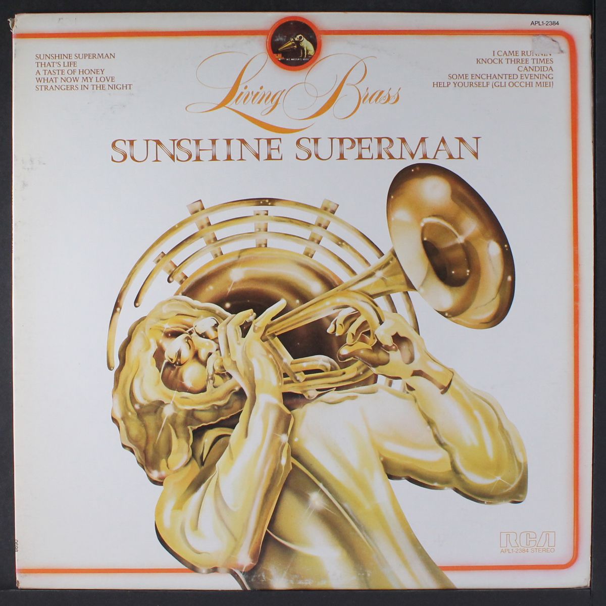 sunshine superman by LIVING BRASS