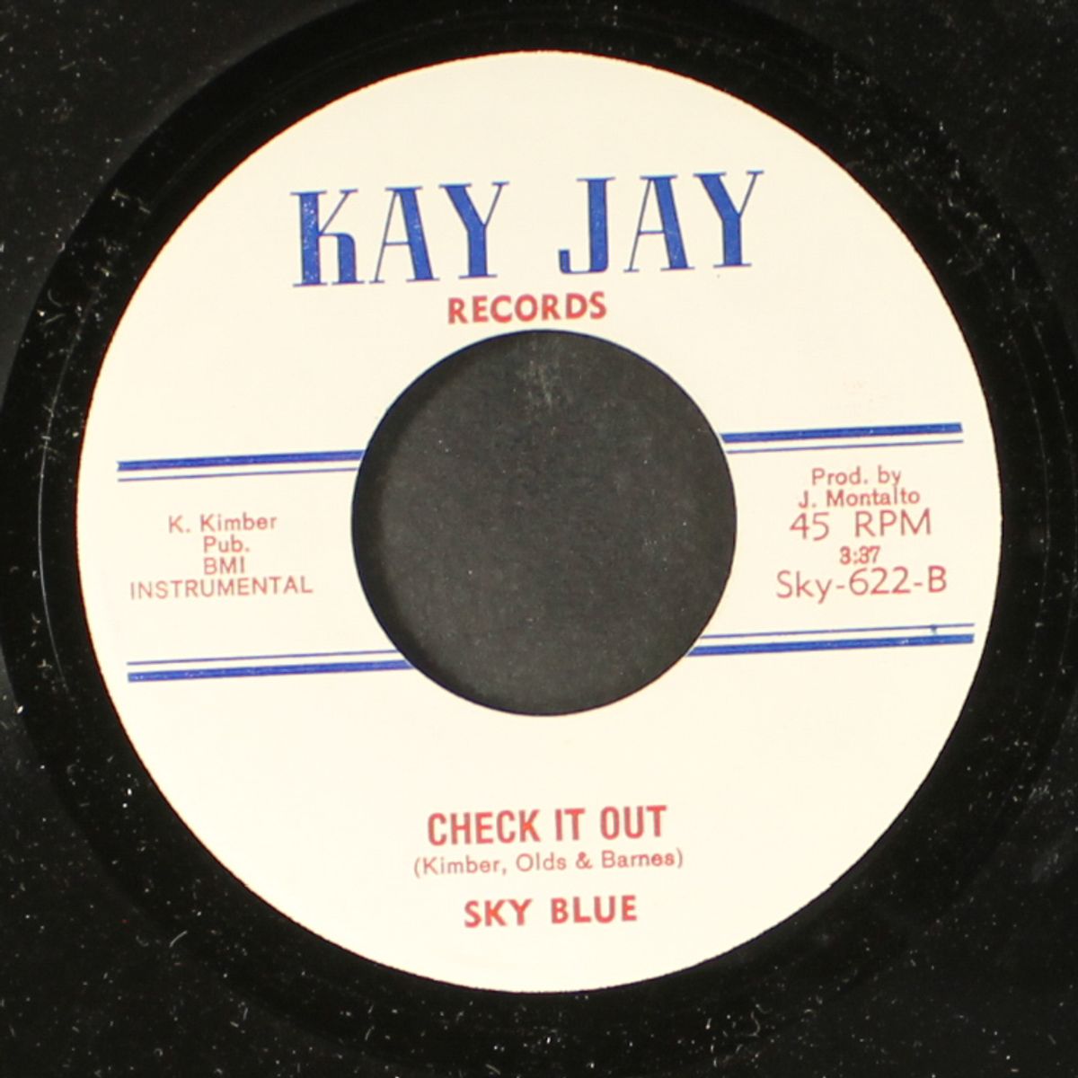 check it out / instrumental by SKY BLUE
