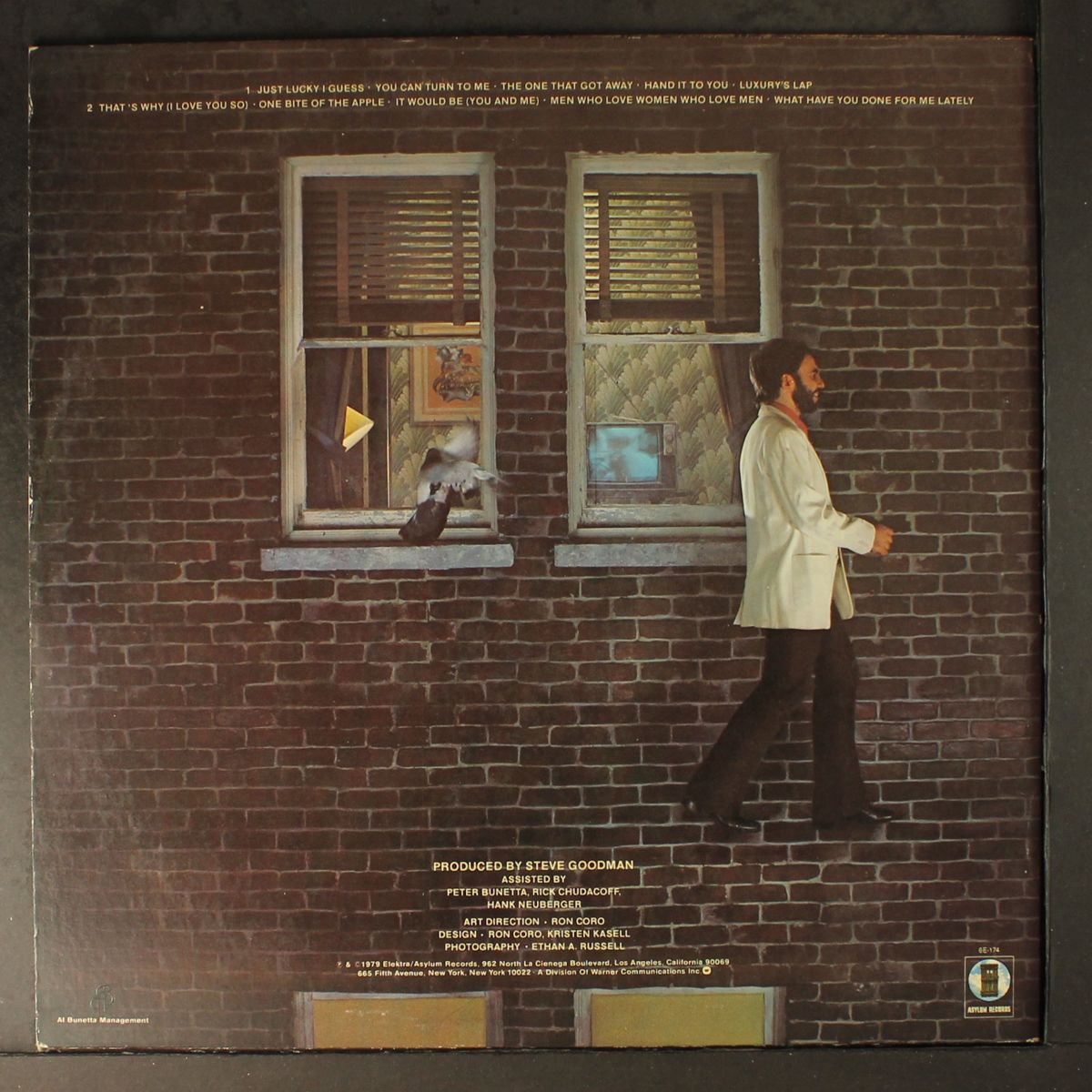 high and outside by STEVE GOODMAN
