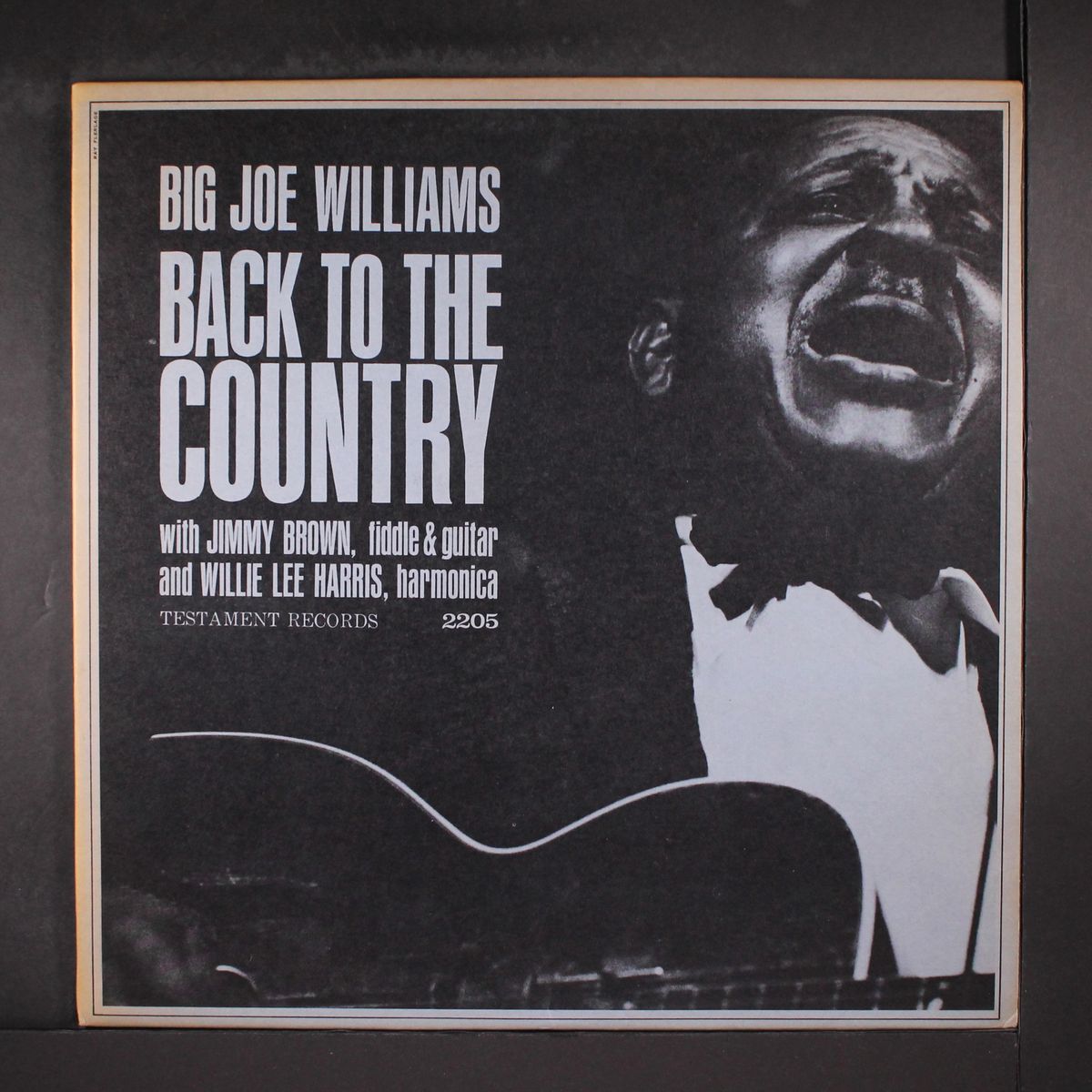 back to the country by BIG JOE WILLIAMS