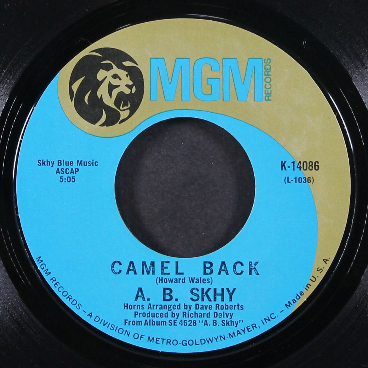 camel back by A.B. SKHY