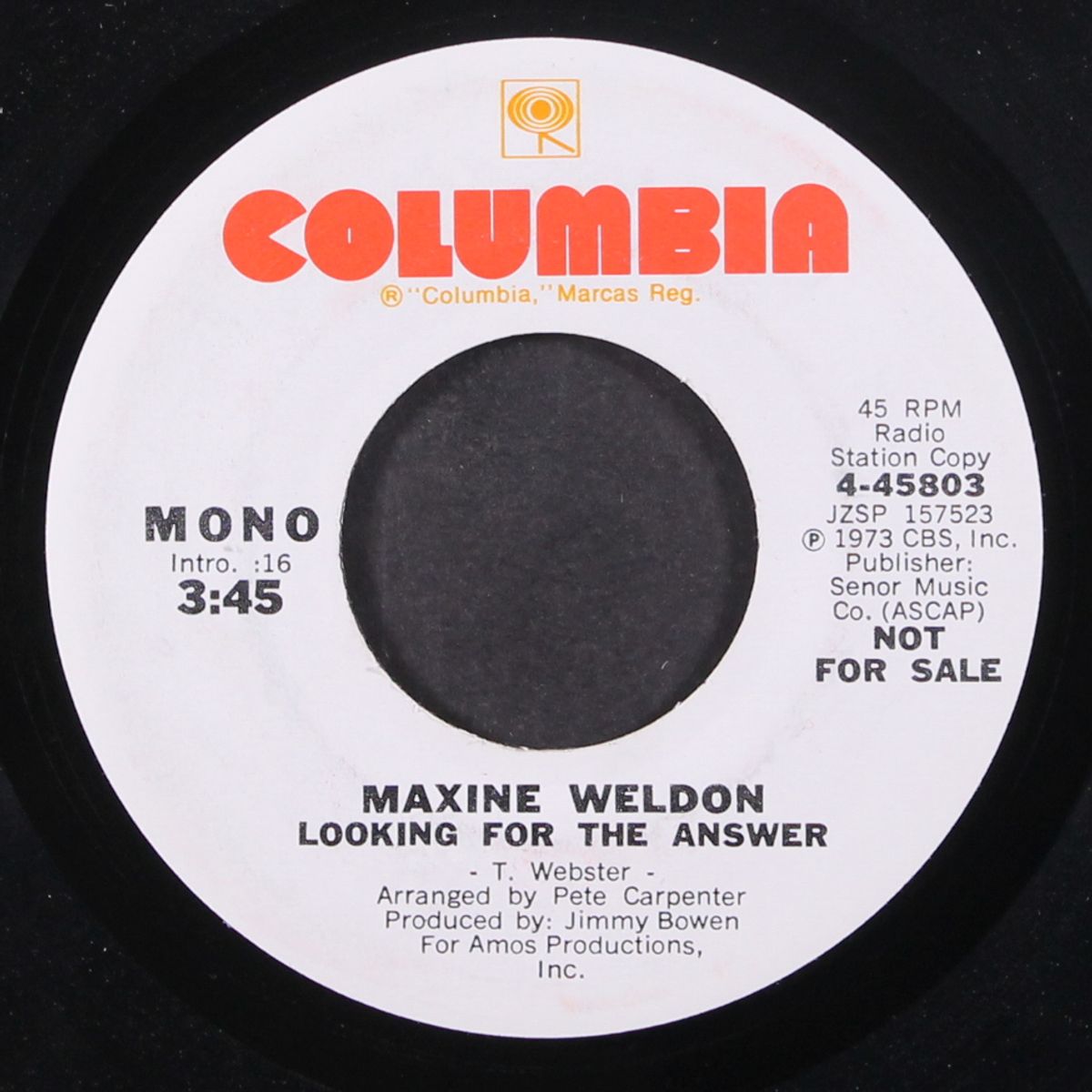 looking for the answer / mono by MAXINE WELDON