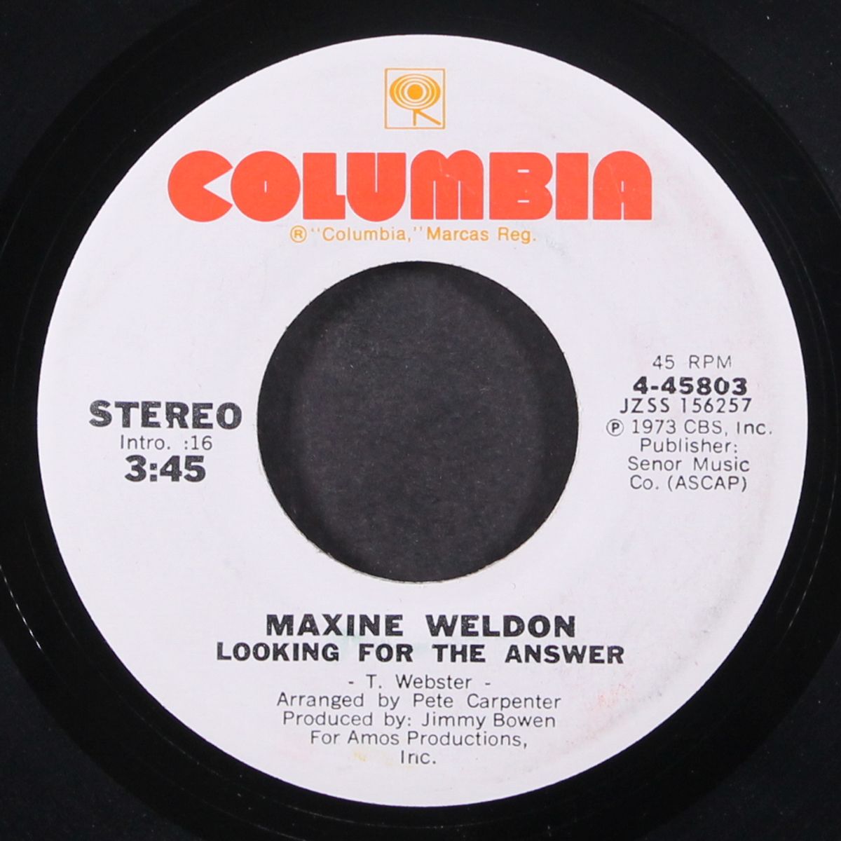 looking for the answer / mono by MAXINE WELDON