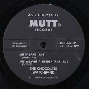 CHOCOLATE WATCHBAND