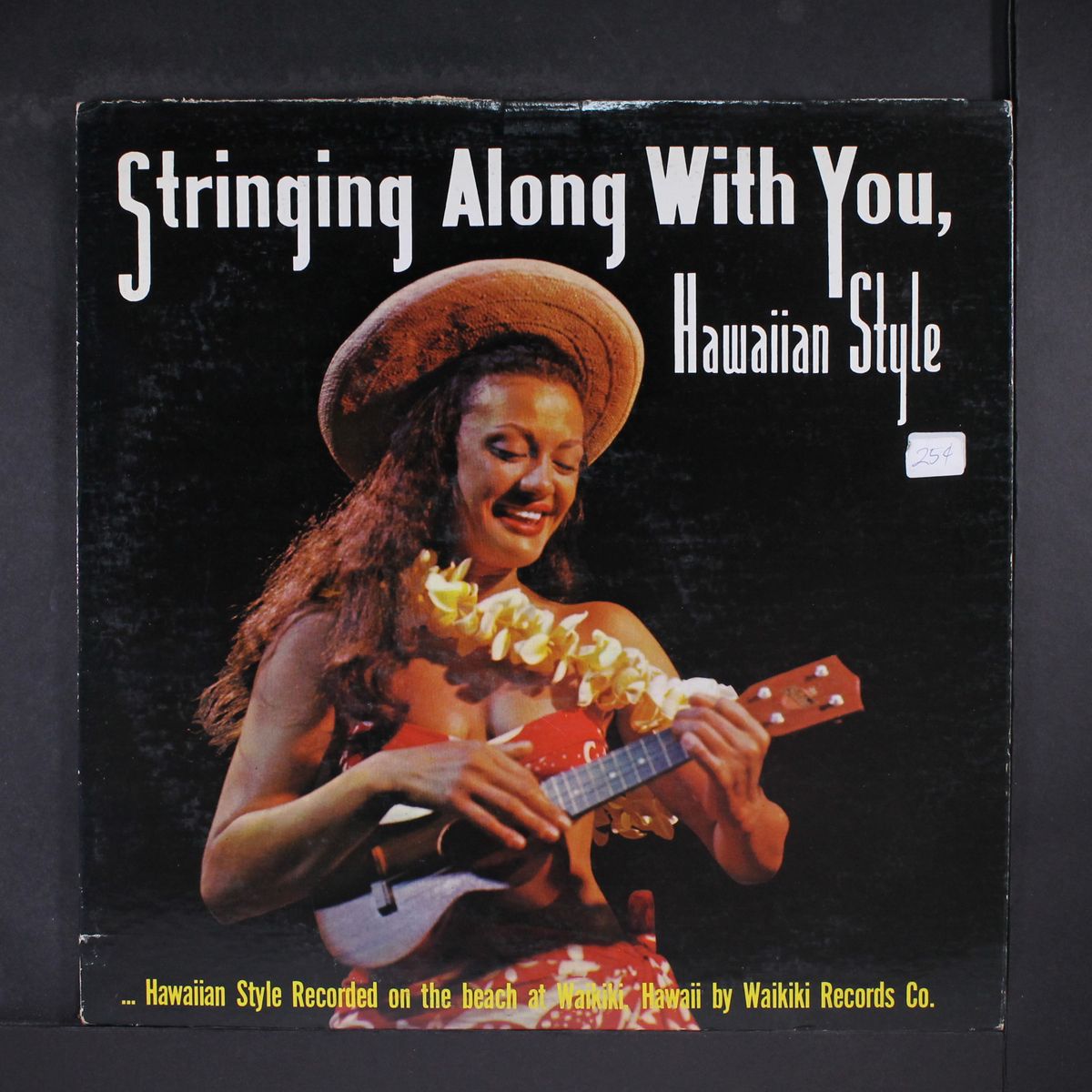 stringing along with you ... hawaiian style by VARIOUS