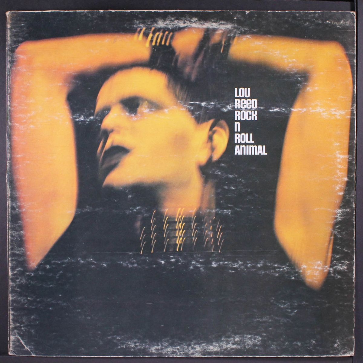 rock n roll animal by LOU REED