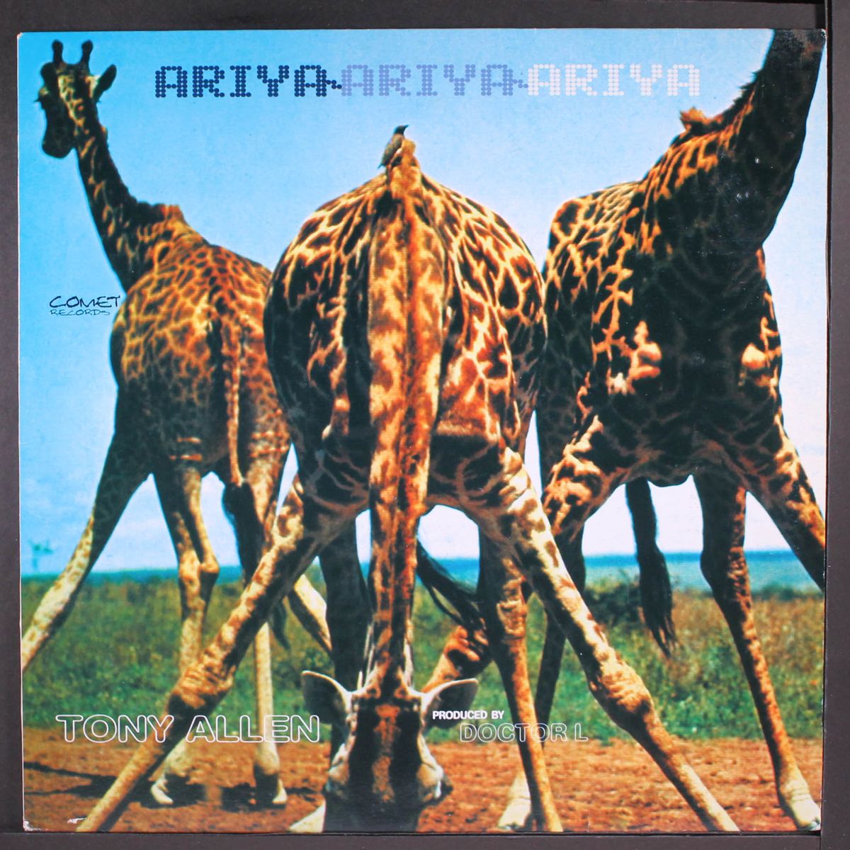 ariya by TONY ALLEN