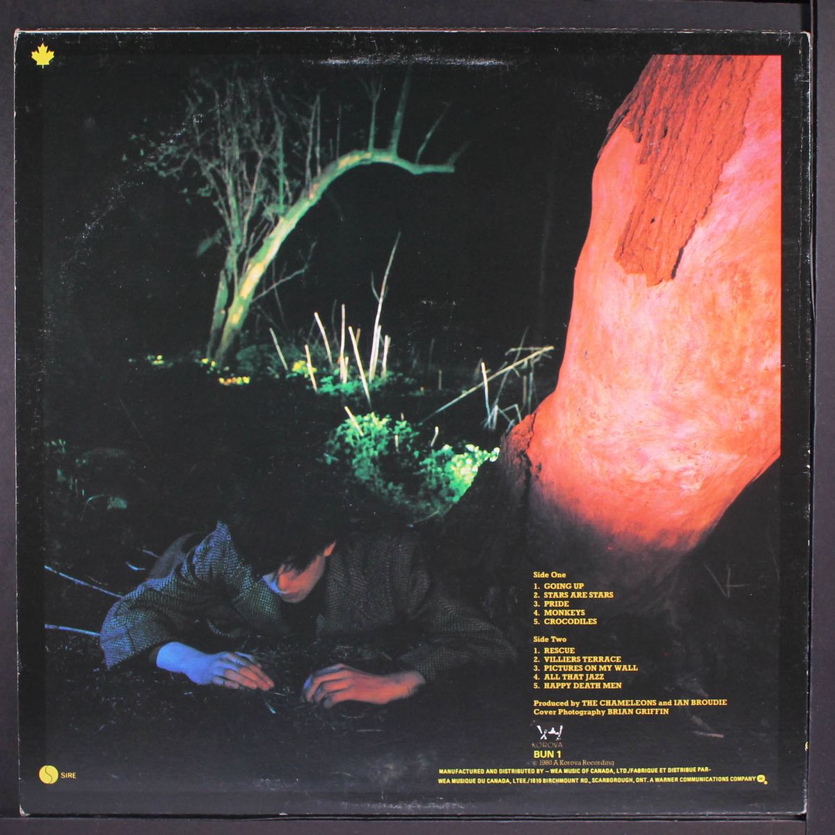 crocodiles by ECHO & THE BUNNYMEN