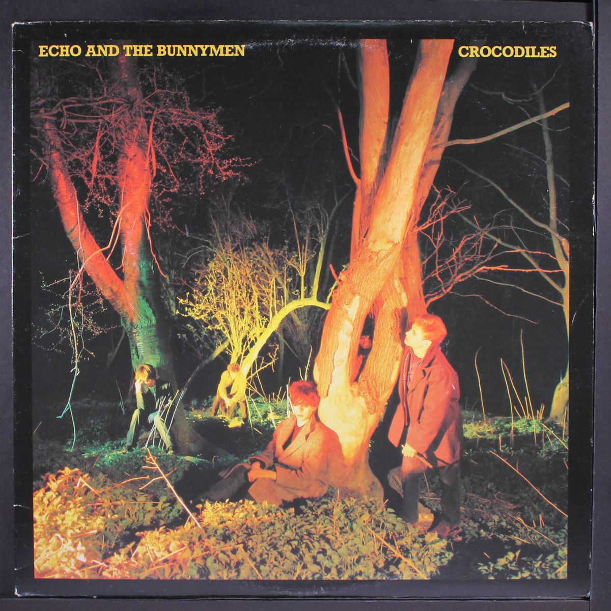 crocodiles by ECHO & THE BUNNYMEN