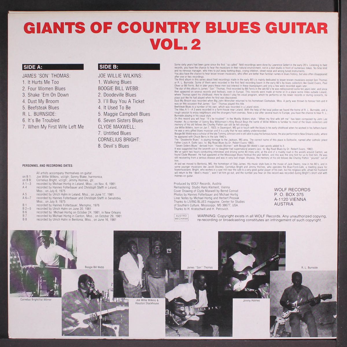 giants of country blues guitar, vol. 2 by VARIOUS