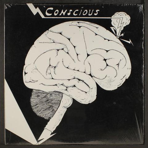 CONSCIOUS