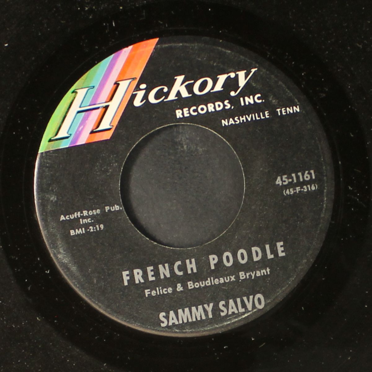 french poodle / billy blue by SAMMY SALVO