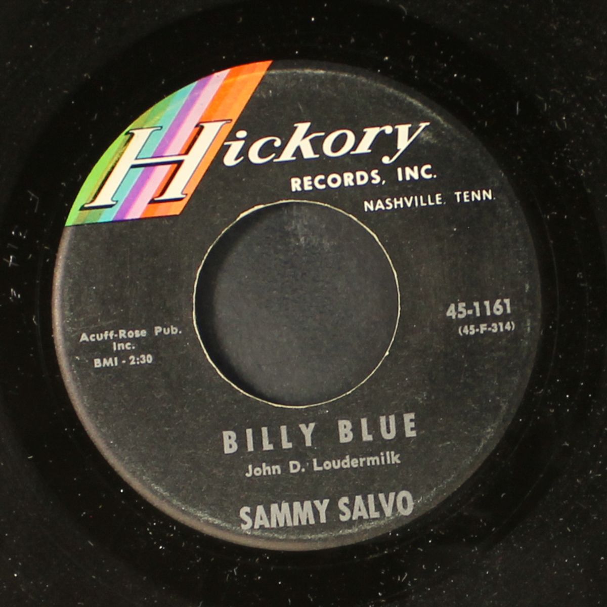 french poodle / billy blue by SAMMY SALVO