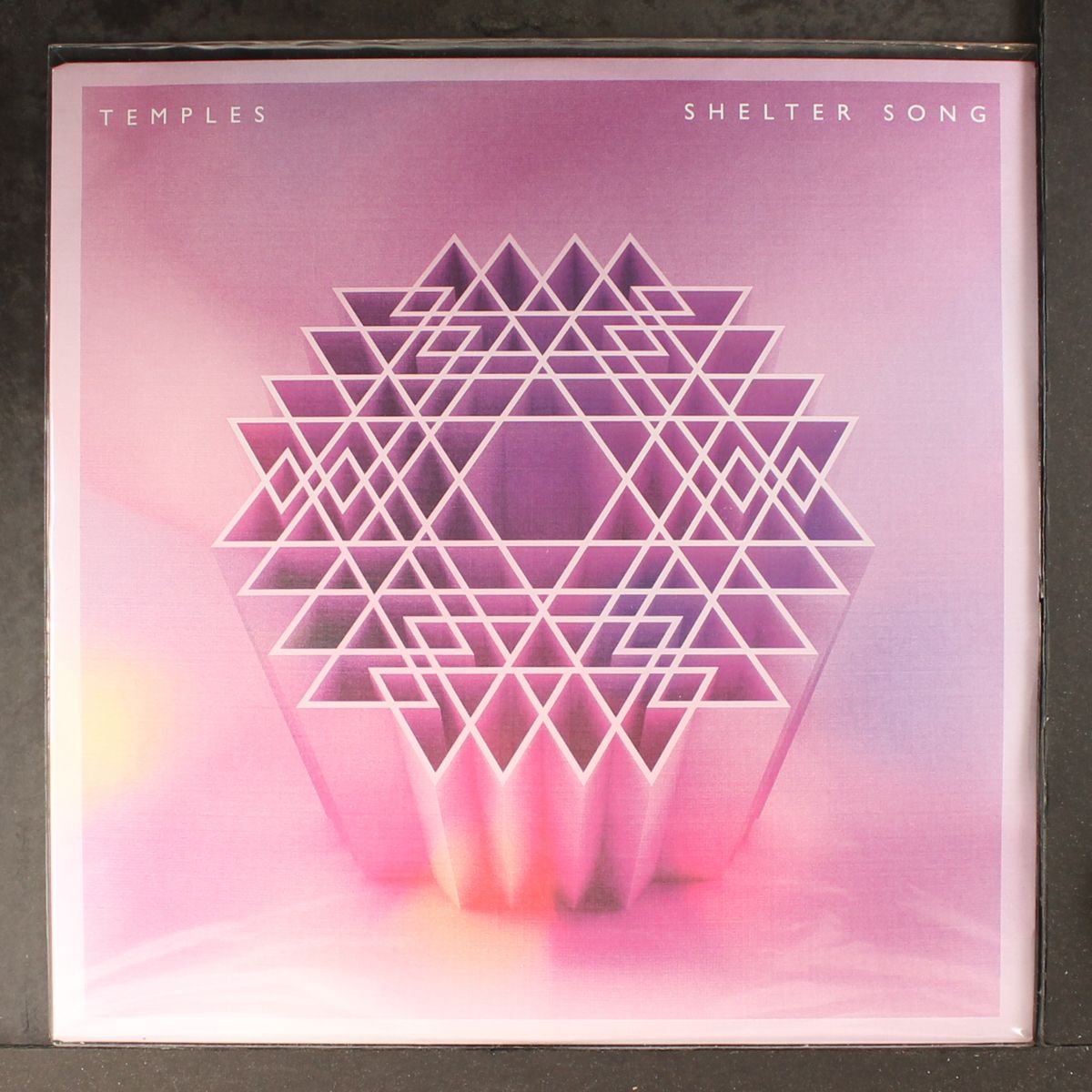 shelter song by TEMPLES