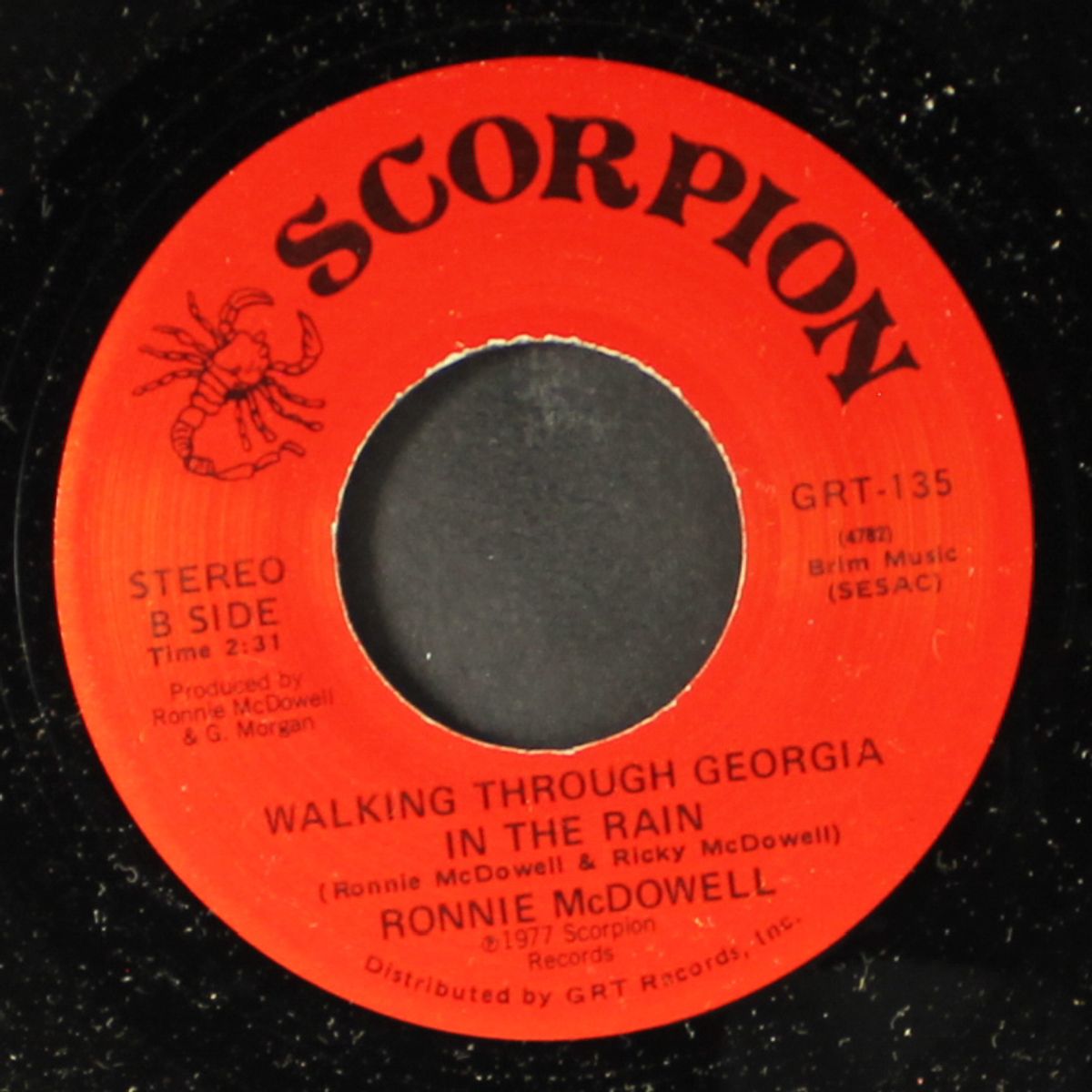 the king is gone / walking through georgia in the rain by RONNIE MCDOWELL