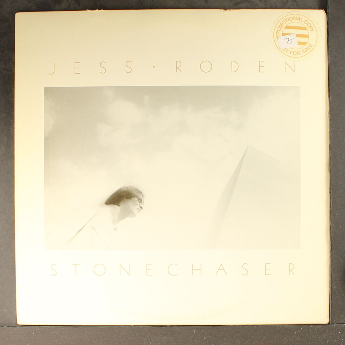 stonechaser by JESS RODEN