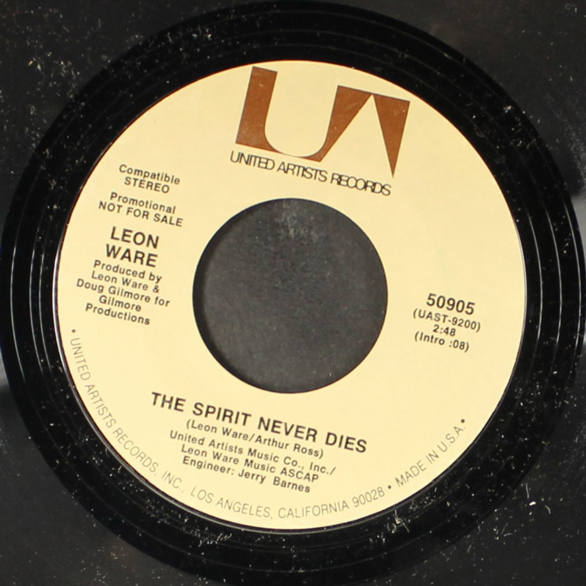 the spirit never dies by LEON WARE