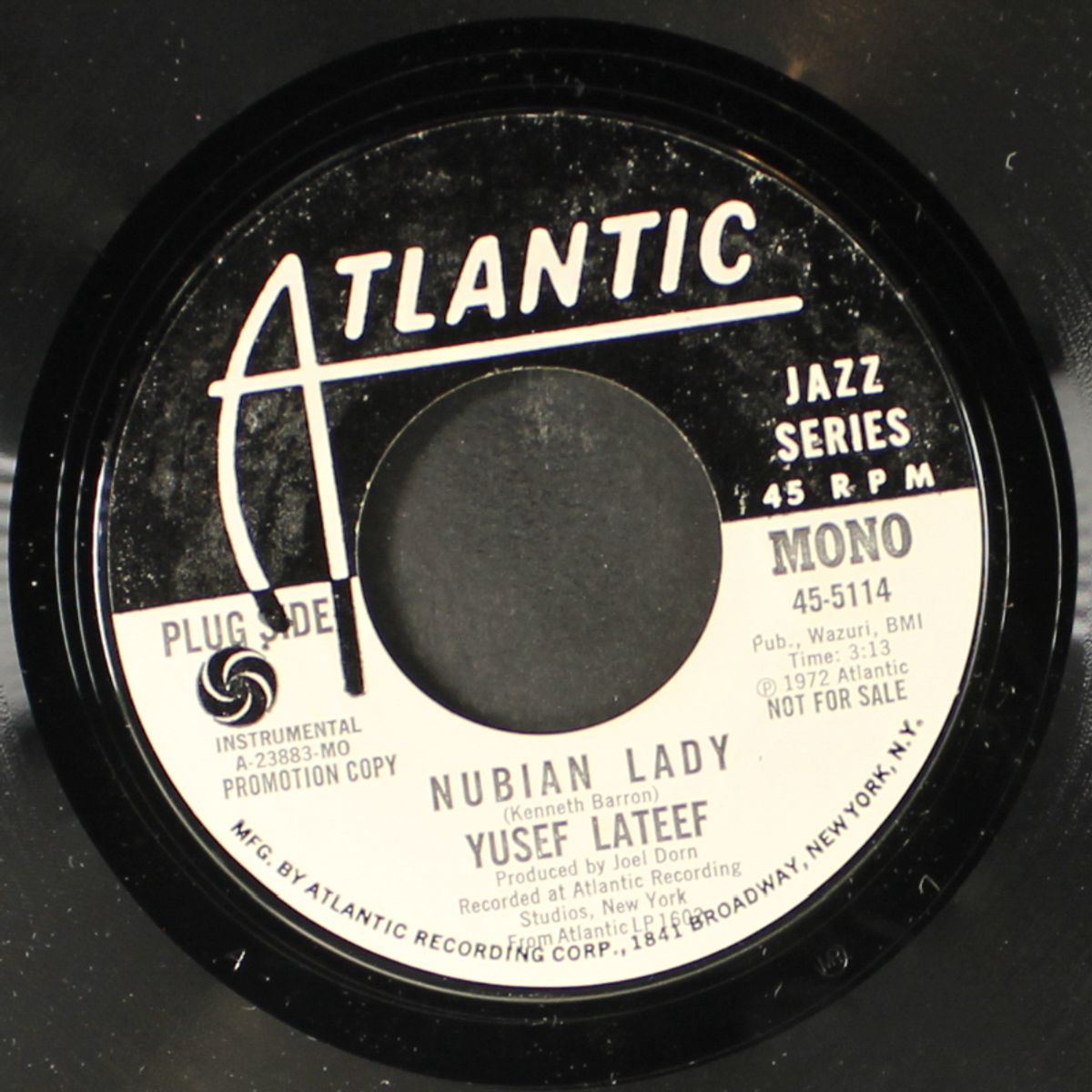 nubian lady / mono by YUSEF LATEEF