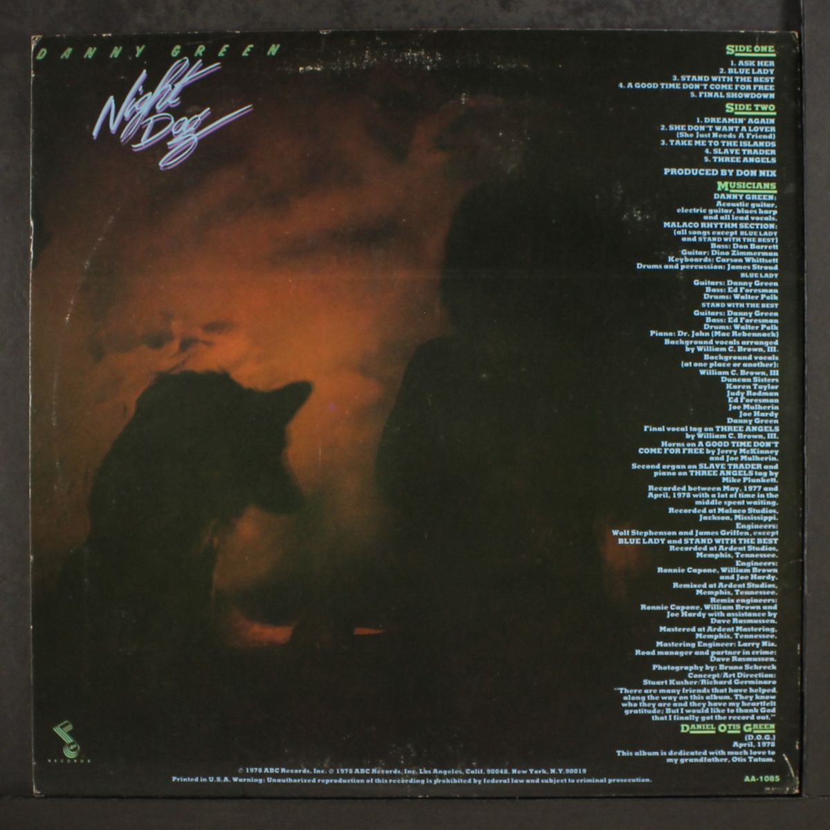 night dog by DANNY GREEN