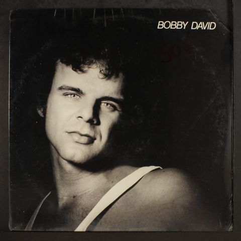 BOBBY DAVID