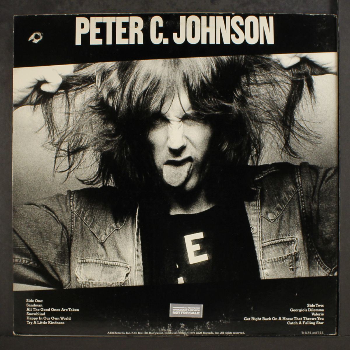 peter c. johnson by PETER C. JOHNSON