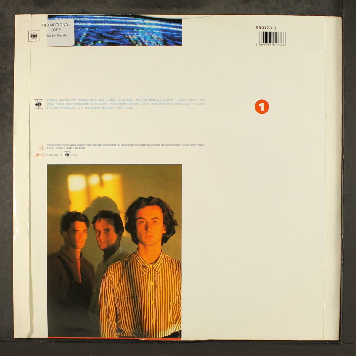 outside looking in / luxury of innocence by WYOMING