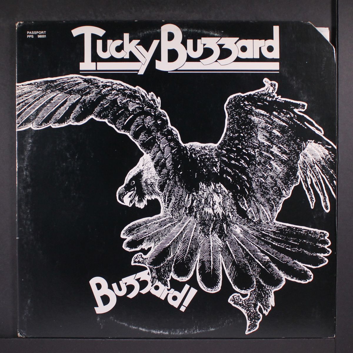buzzard! by TUCKY BUZZARD