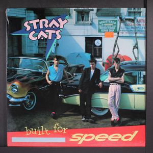 STRAY CATS