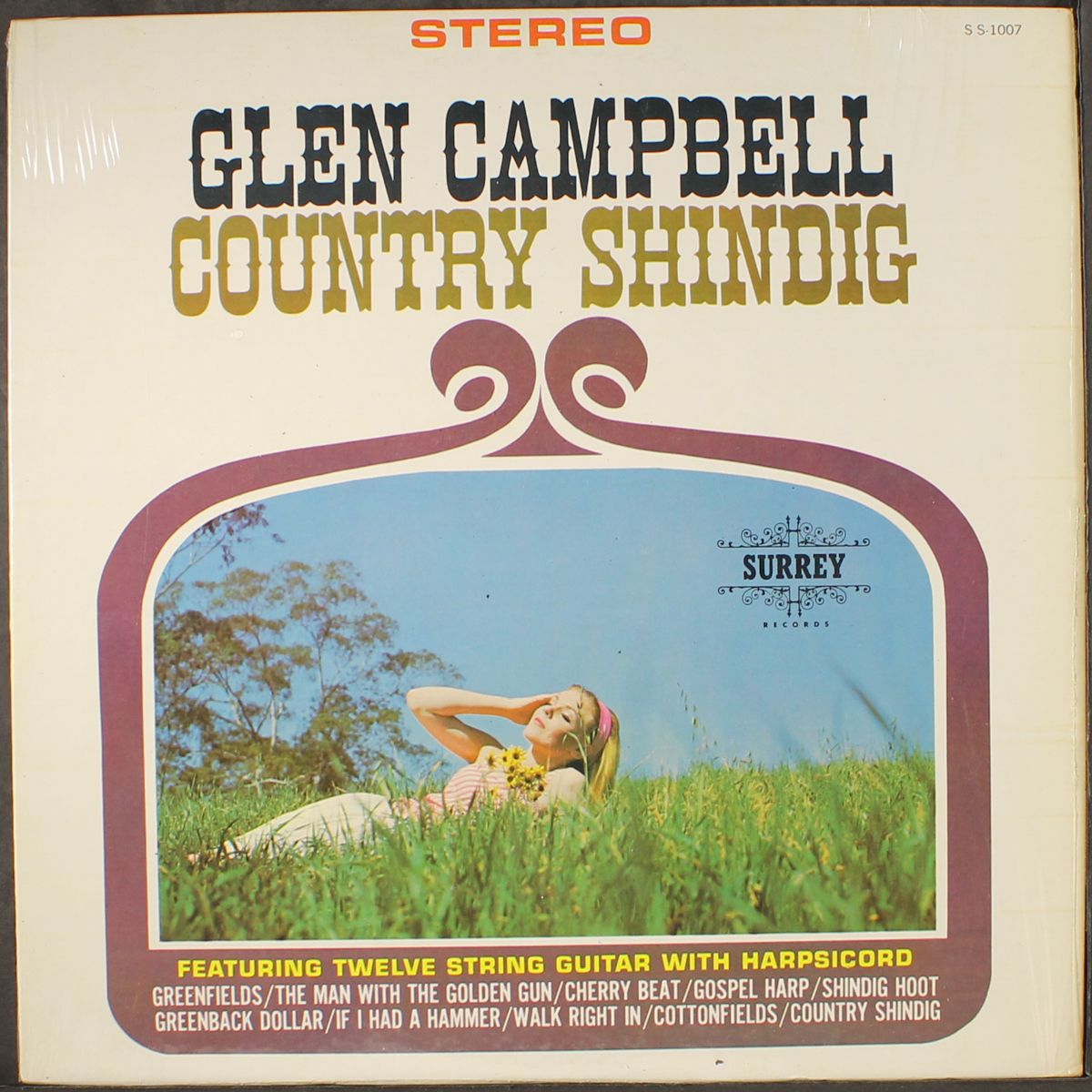 country shindig by GLEN CAMPBELL