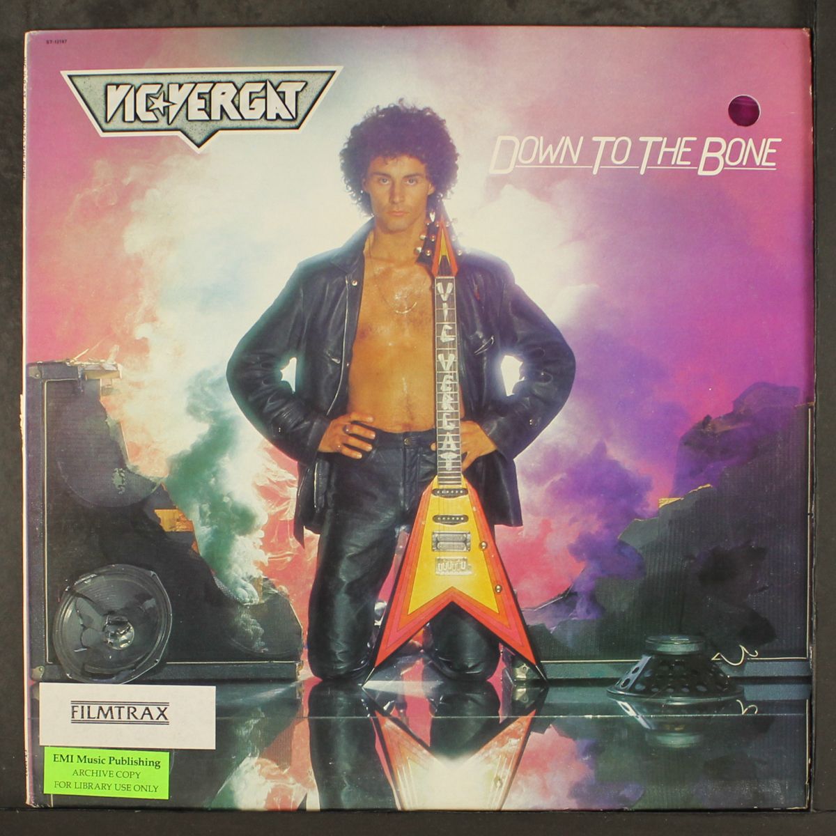 down to the bone by VIC VERGAT