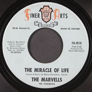 MARVELLS