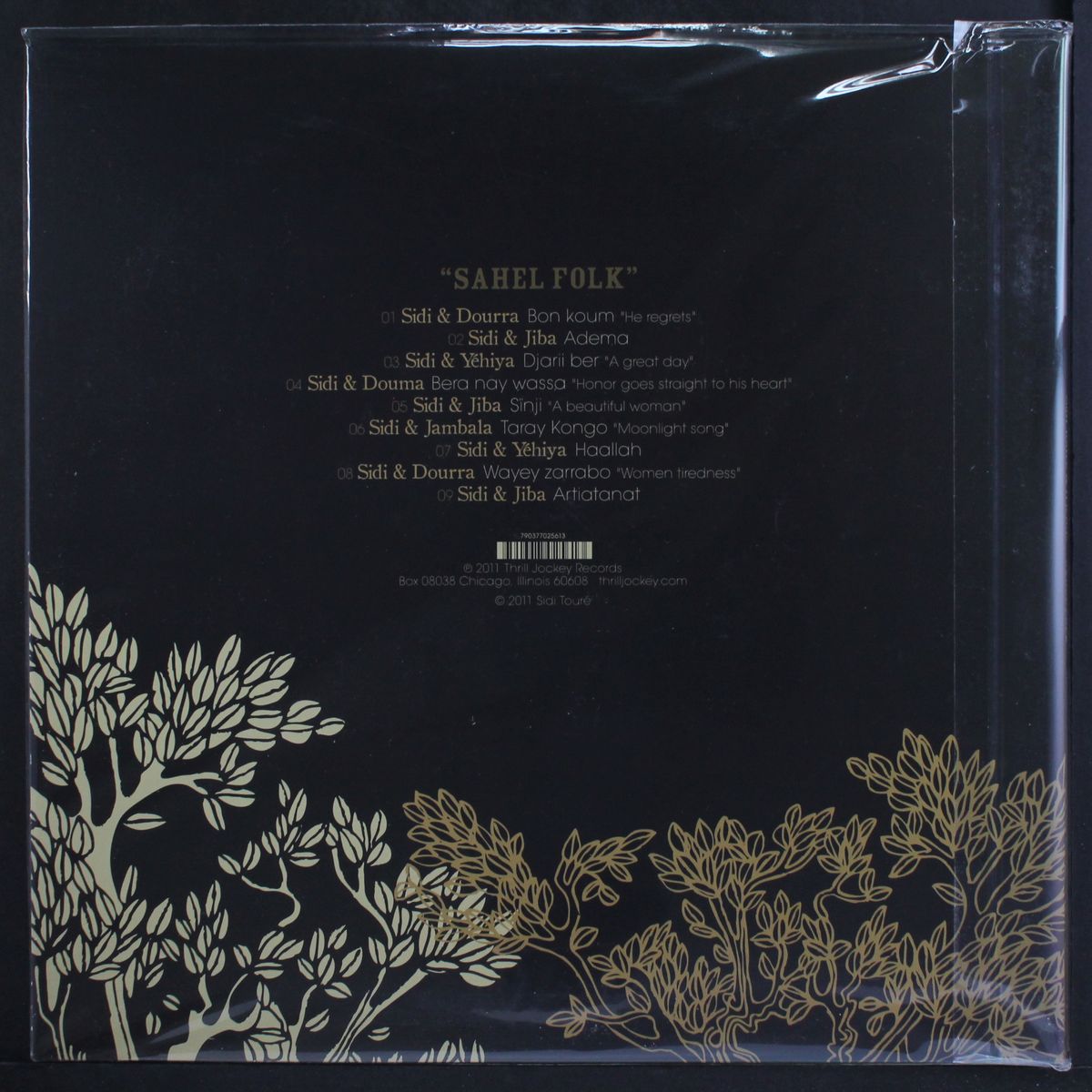 sahel folk by SIDI TOURE & FRIENDS