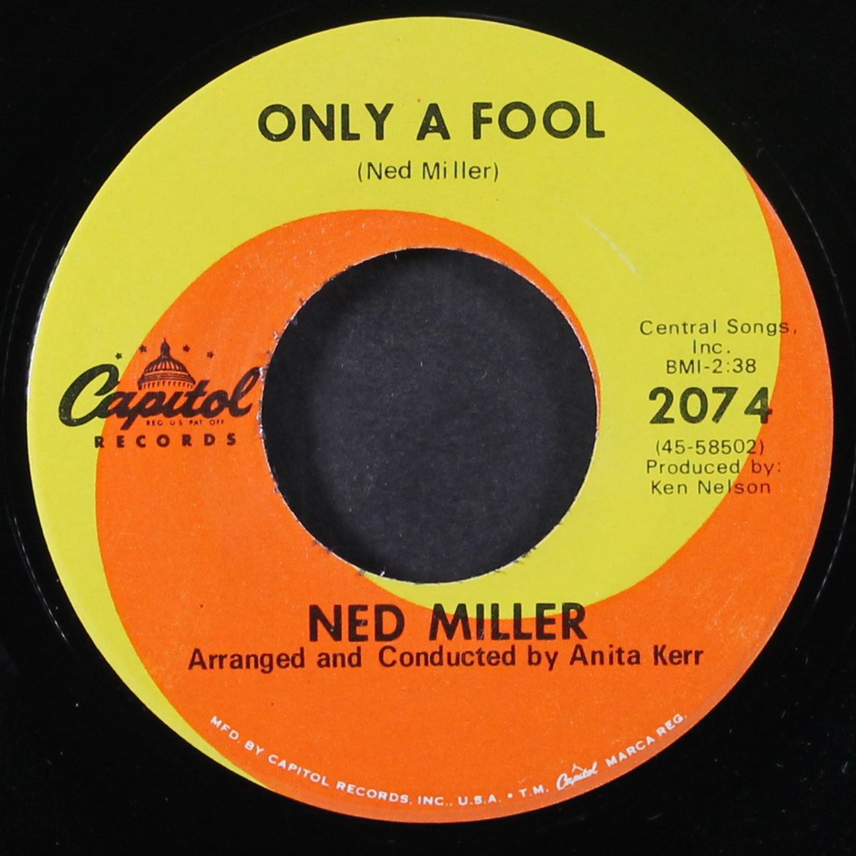 only a fool by NED MILLER