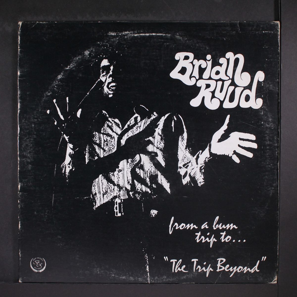 from a bum trip to...the trip beyond by BRIAN RUUD