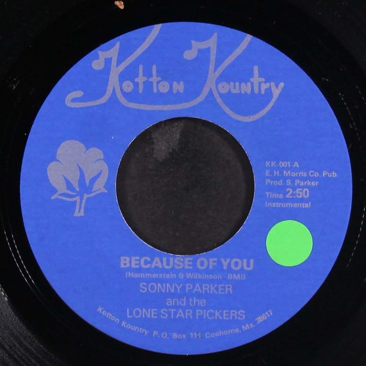 my adobe hascienda / because of you by SONNY PARKER