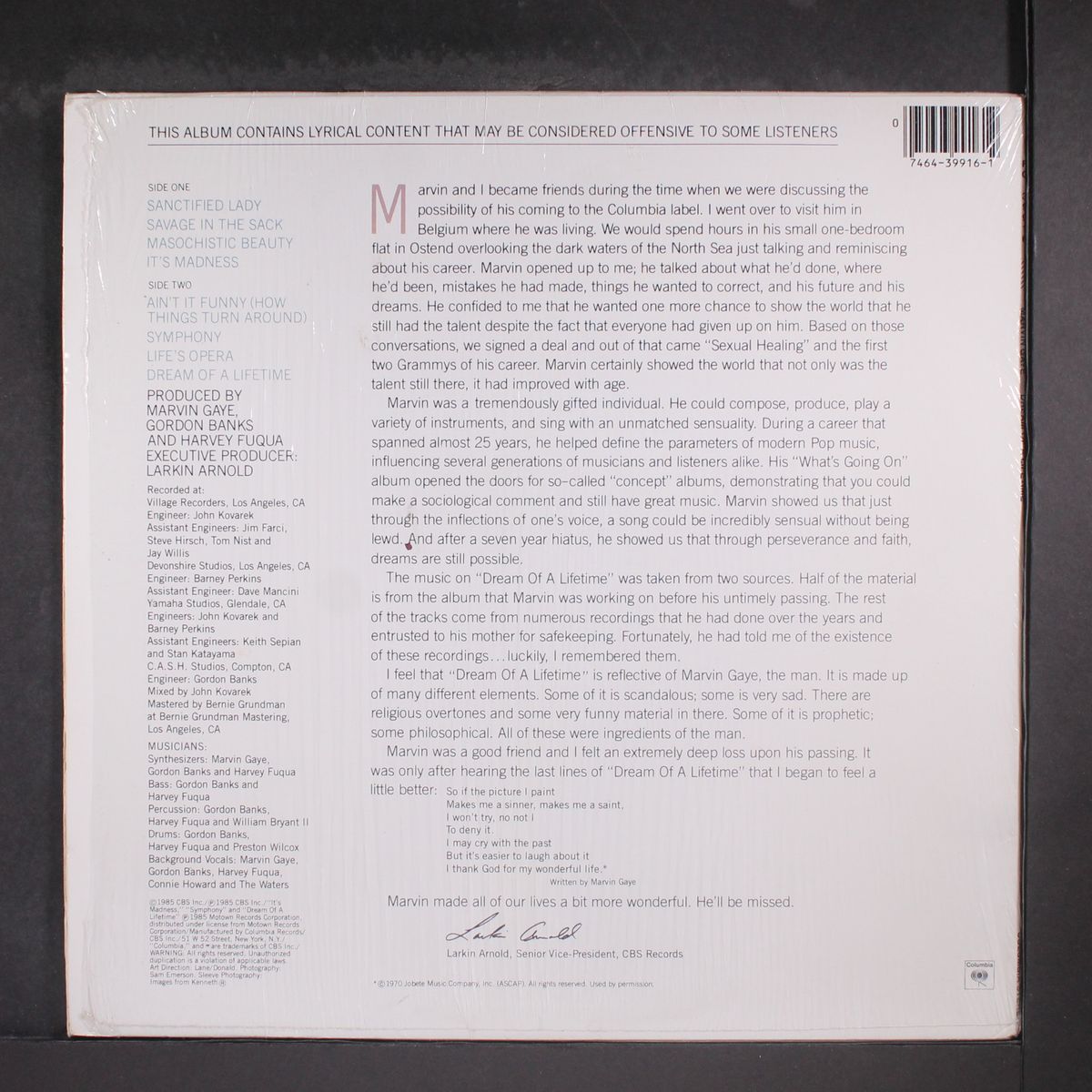 dream of a lifetime by MARVIN GAYE