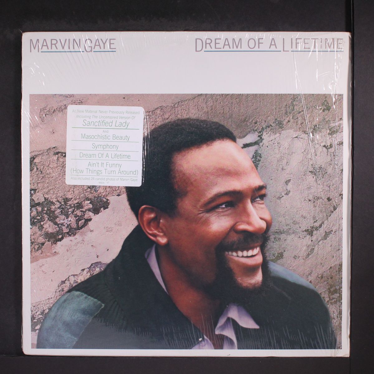 dream of a lifetime by MARVIN GAYE