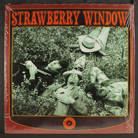 STRAWBERRY WINDOW
