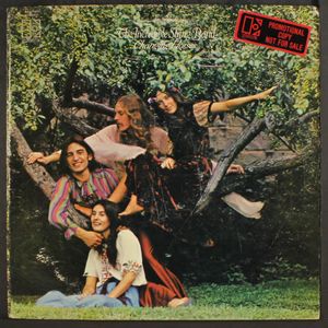 INCREDIBLE STRING BAND